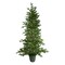 Northlight Real Touch™️Potted Noble Pine Slim Artificial Christmas Tree - 6' - Unlit